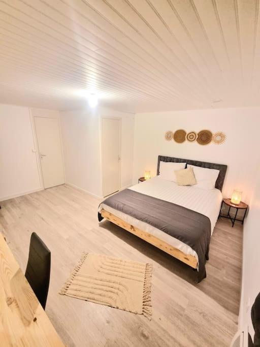 Appartement Neuf Rive-de-Gier 外观 照片